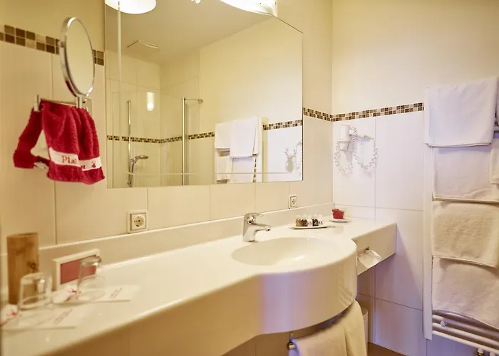 Berggasthof Platzlalm 4* Kaltenbach