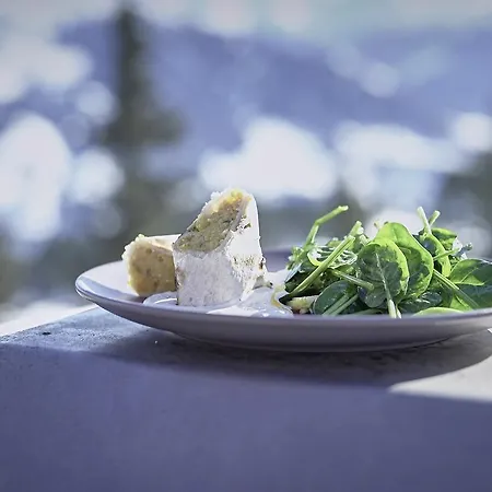 Berggasthof Platzlalm 4* Kaltenbach